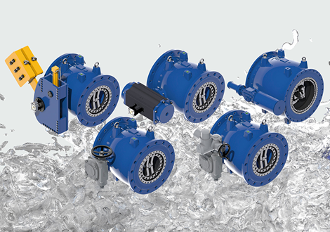 Five needle valves or plunger valves variants