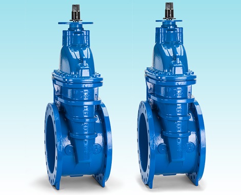 Series 55 gate valves