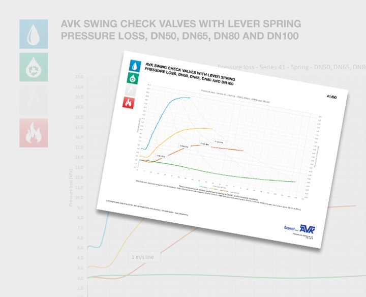 Technical information - swing check valves with lever and spring